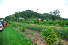 Mark Shepard Permaculture Farm