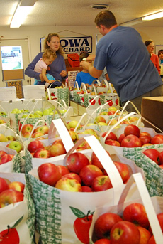 Iowa Orchard samples